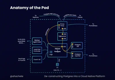 Anatomy of the pod